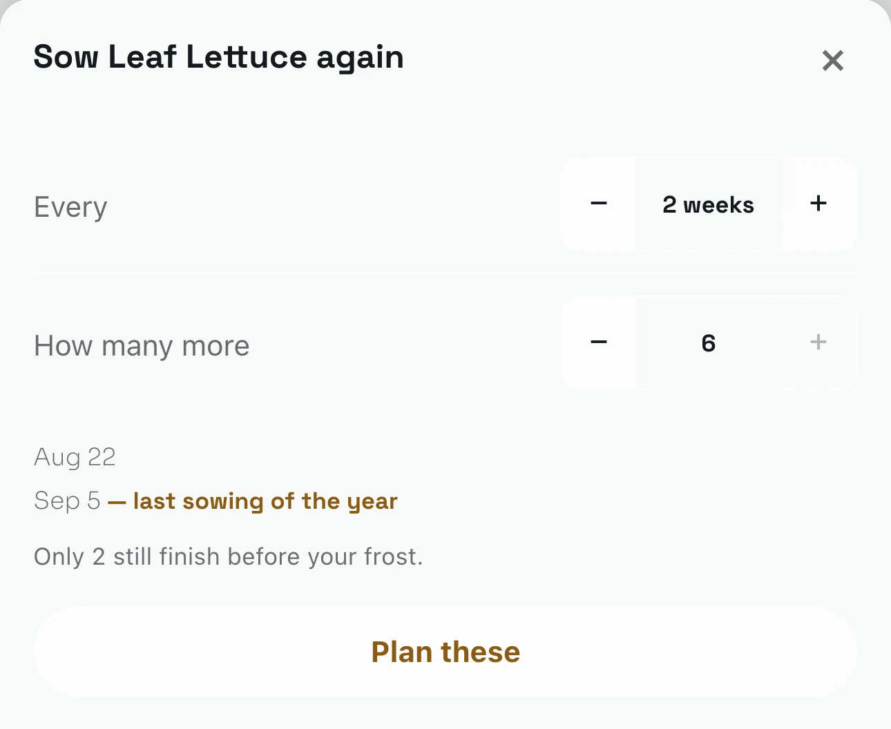 Sow Leaf Lettuce again: every 2 weeks, six more asked for, then Aug 22 and Sep 5, the last sowing of the year, and Only 2 still finish before your frost