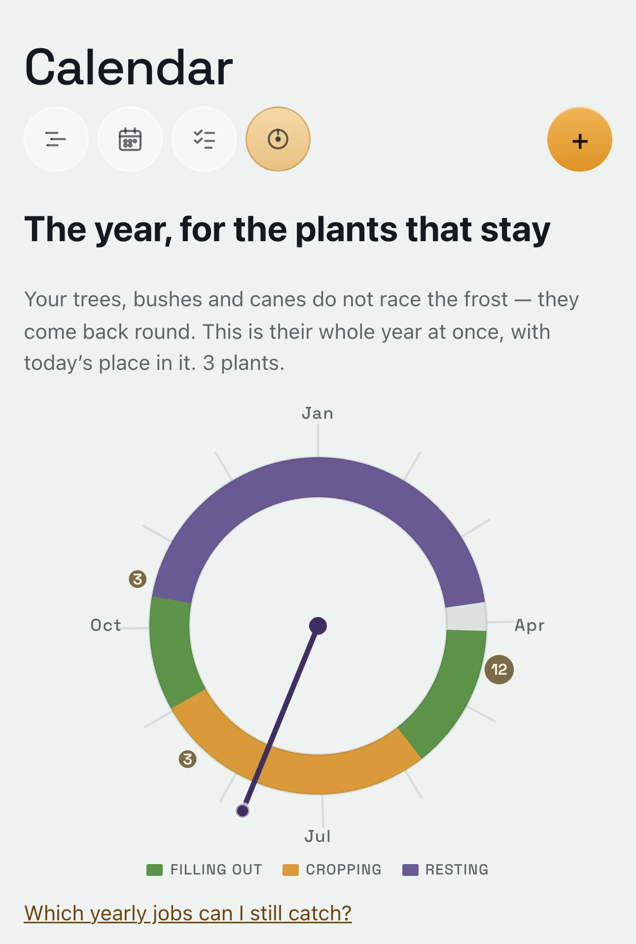 The year, for the plants that stay: the raspberries’ year drawn as a wheel, filling out, cropping and resting, with today marked