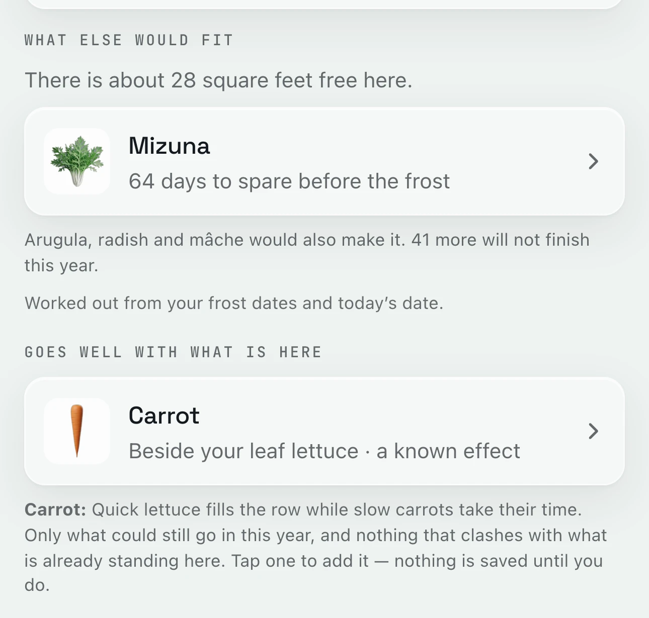 What else would fit in the squash bed: about 28 square feet free, mizuna with time to spare, then carrots as something that goes well beside the lettuce
