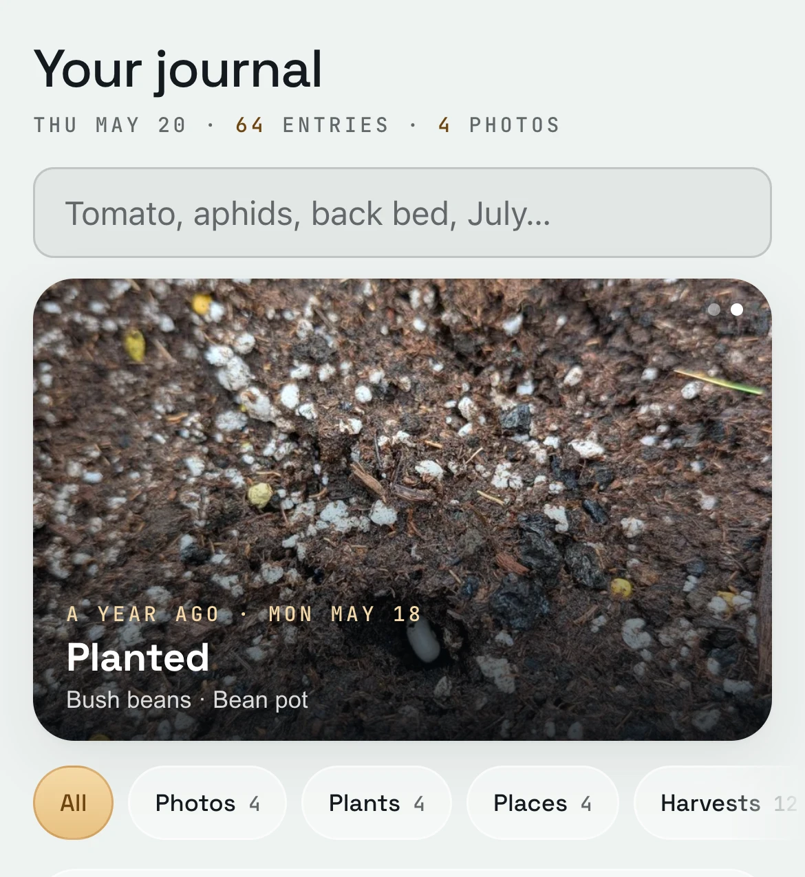 Your journal the next May, swiped to a photo from a year ago: the bush beans the day they were planted in their pot