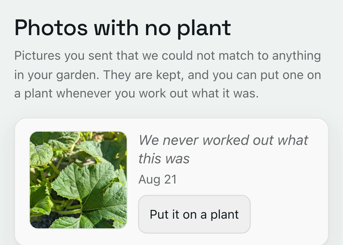 Photos with no plant: a squash leaf photo waiting, with Put it on a plant
