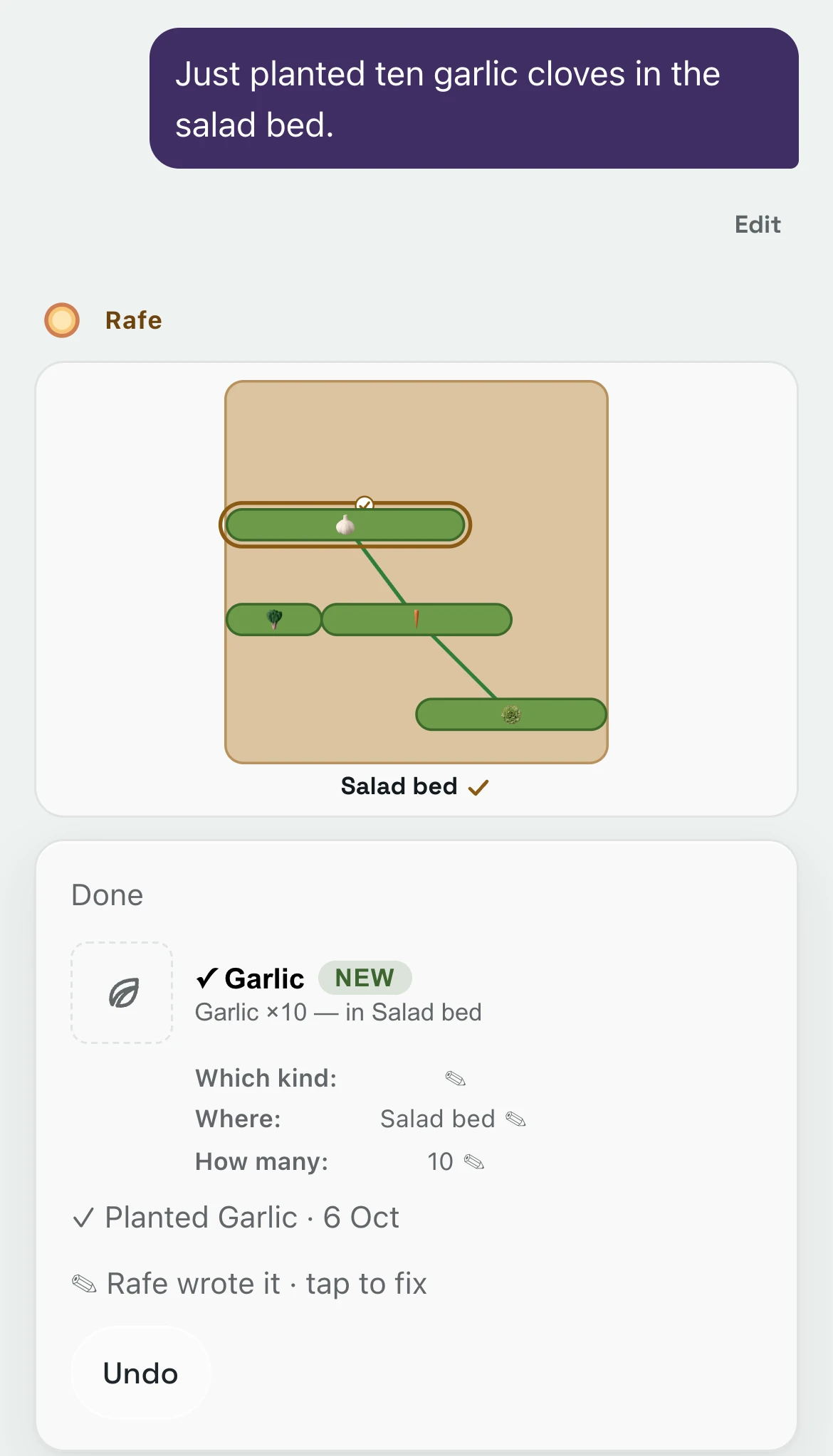 Telling Rafe ten garlic cloves went in the salad bed: the Salad bed drawn with the new garlic row, then the receipt, Garlic, new, ten in the Salad bed, planted today, with Undo