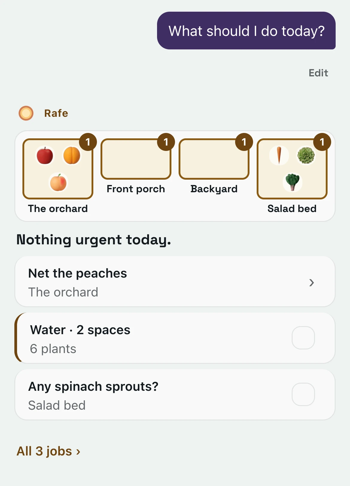 Asking Rafe what to do today: Nothing urgent today, then three jobs, Net the peaches, Water two spaces and Any spinach sprouts?, the last two with a box to tick