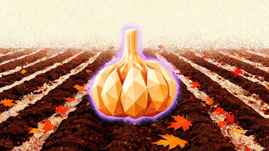 A single garlic bulb rendered in angular facets, lit from behind, standing above tilled rows of dark soil scattered with fallen maple leaves.